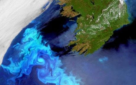 卫星拍到北大西洋大片海藻 如莫奈画作(图)